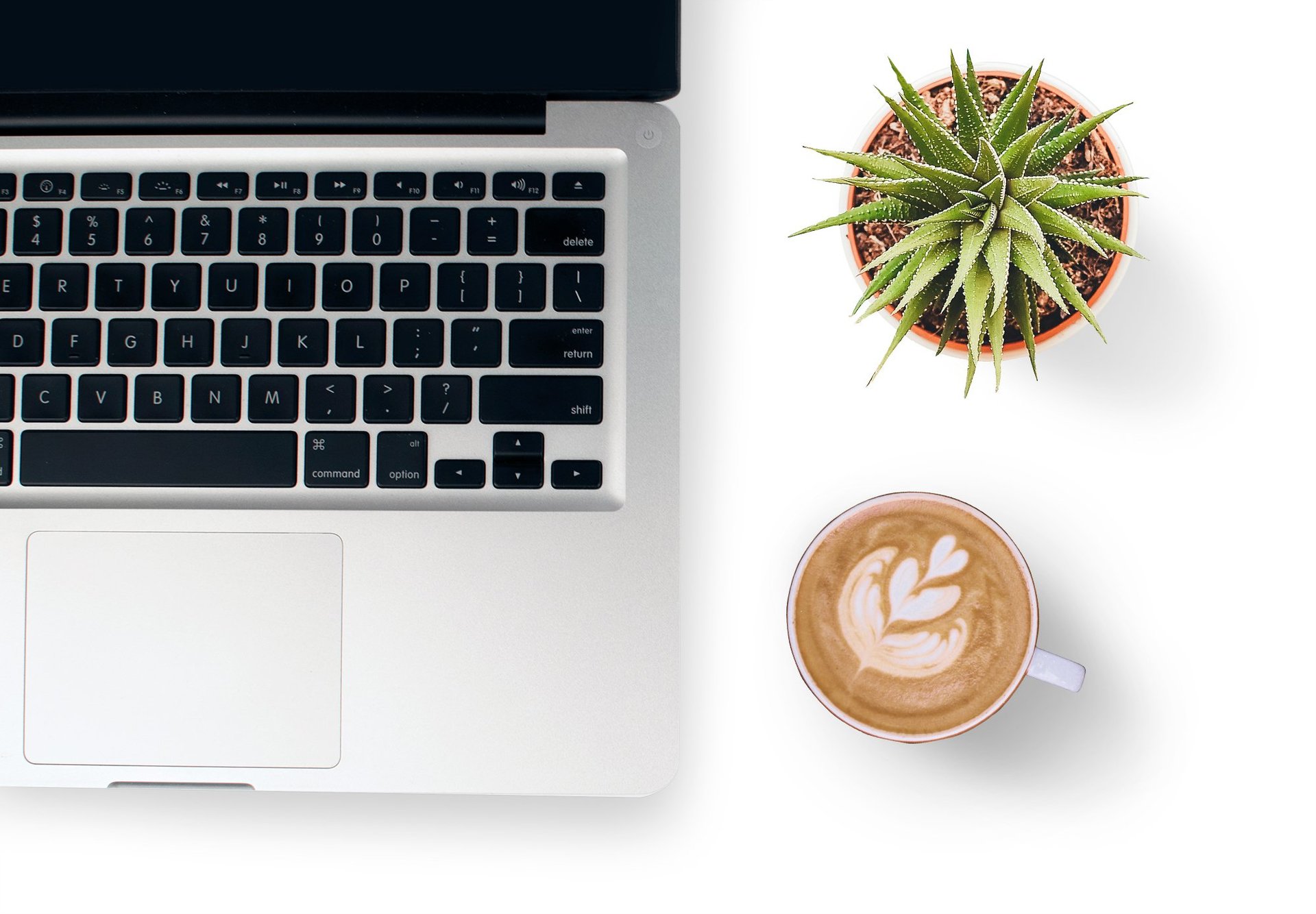 Laptop with plant and coffee